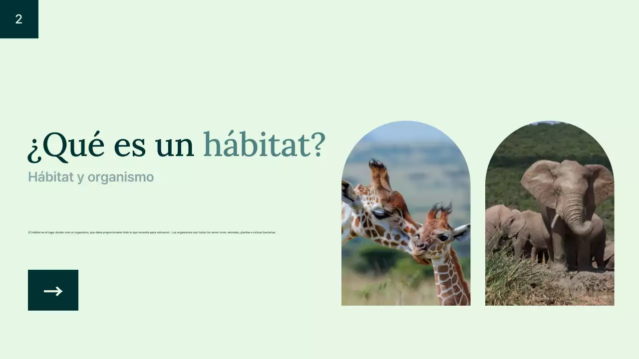 Introducción al hábitat de los animales