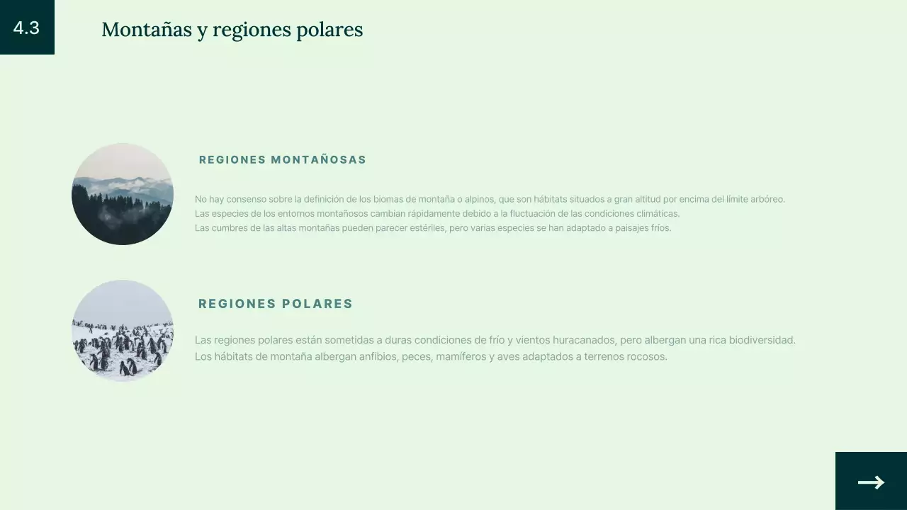 Introducción al hábitat de los animales