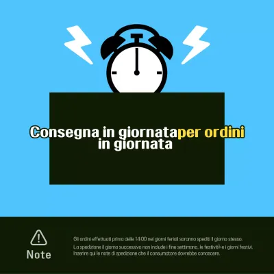 Avviso minimalista di consegna in giornata in azzurro