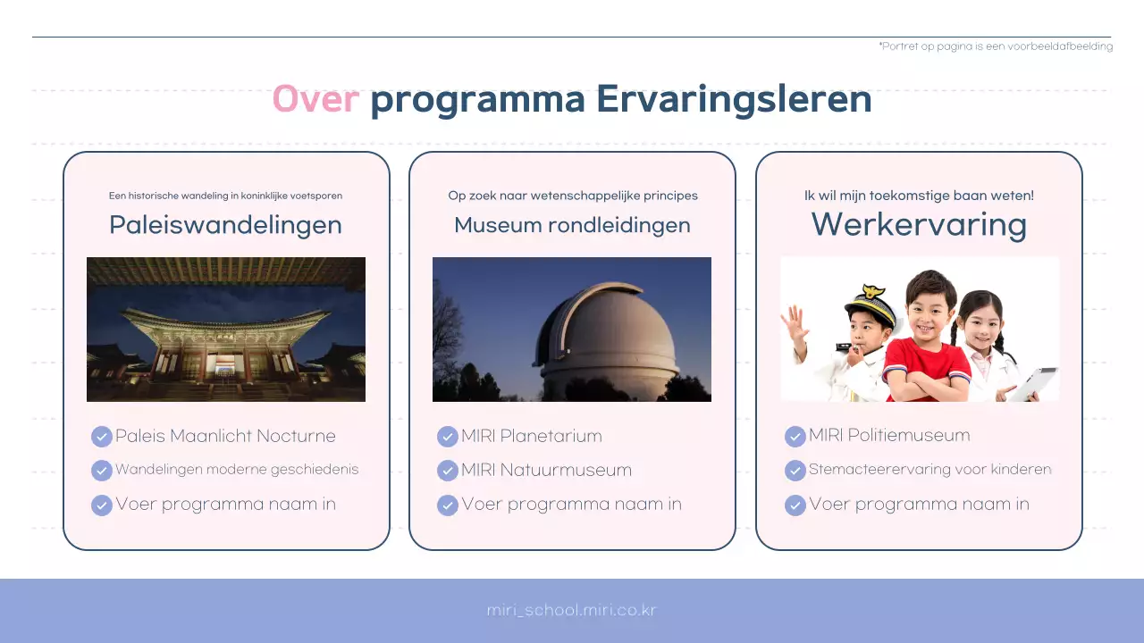 Pink en Bora's Eenvoudige Leerondersteuning Centrum Programmagids