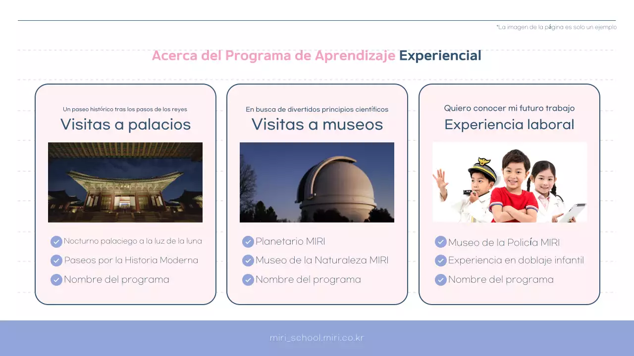 Guía del programa del Centro de Apoyo al Aprendizaje Simple de Pink y Bora