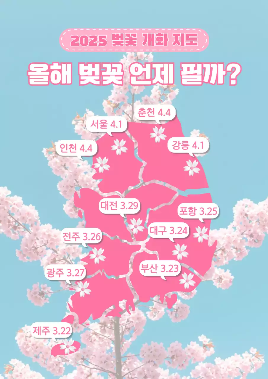 핑크 아기자기한 벚꽃 지도 안내