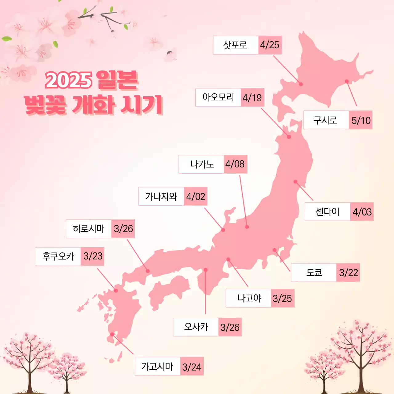 핑크 아기자기한 일본 벚꽃 개화지도