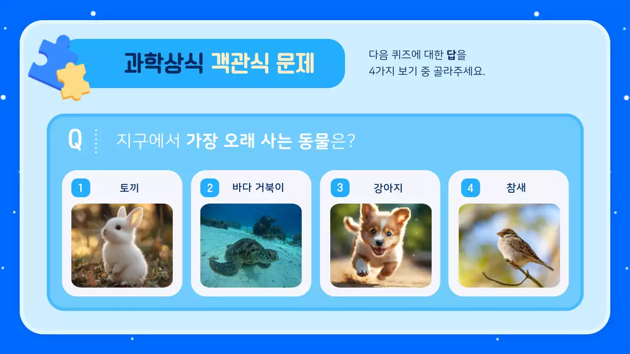 파랑 아기자기한 교육 자료 홍보