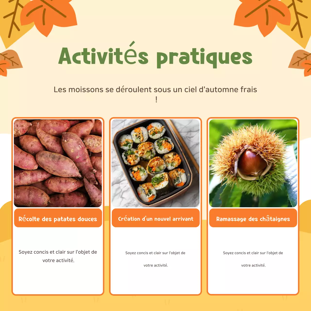 Beige Expérience agricole