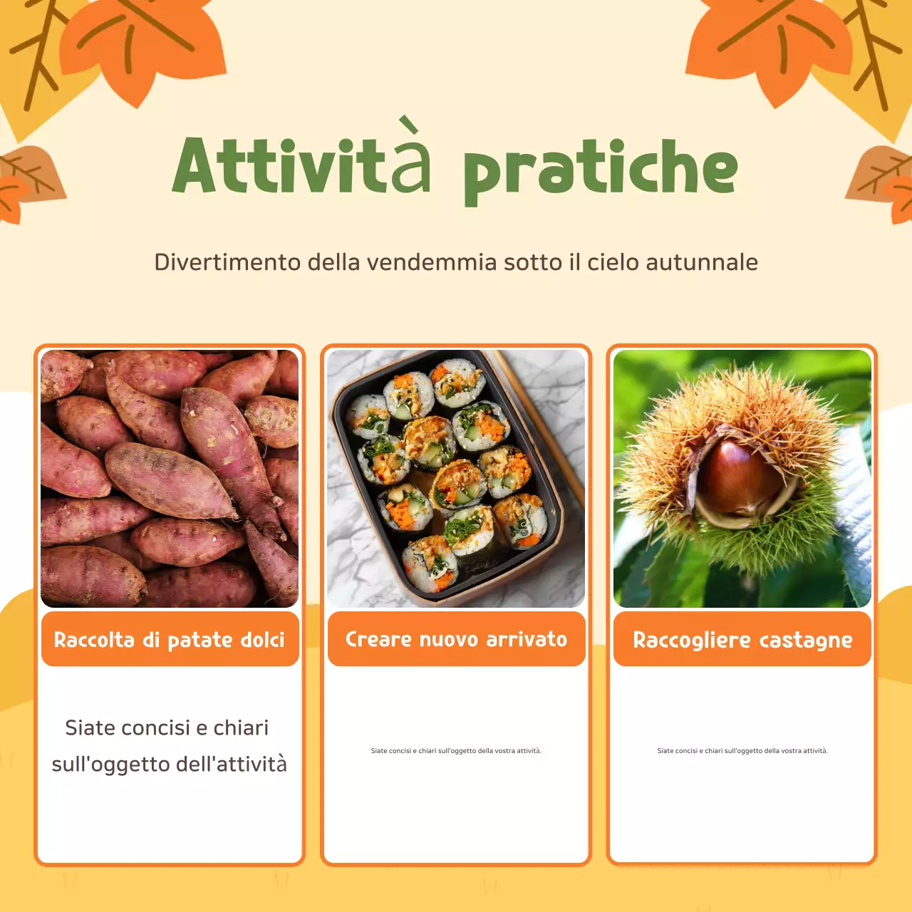 Esperienza di agricoltura beige