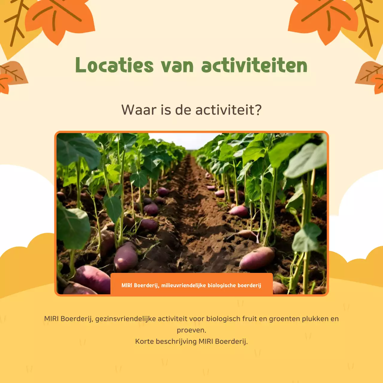 Beige Landbouwervaring