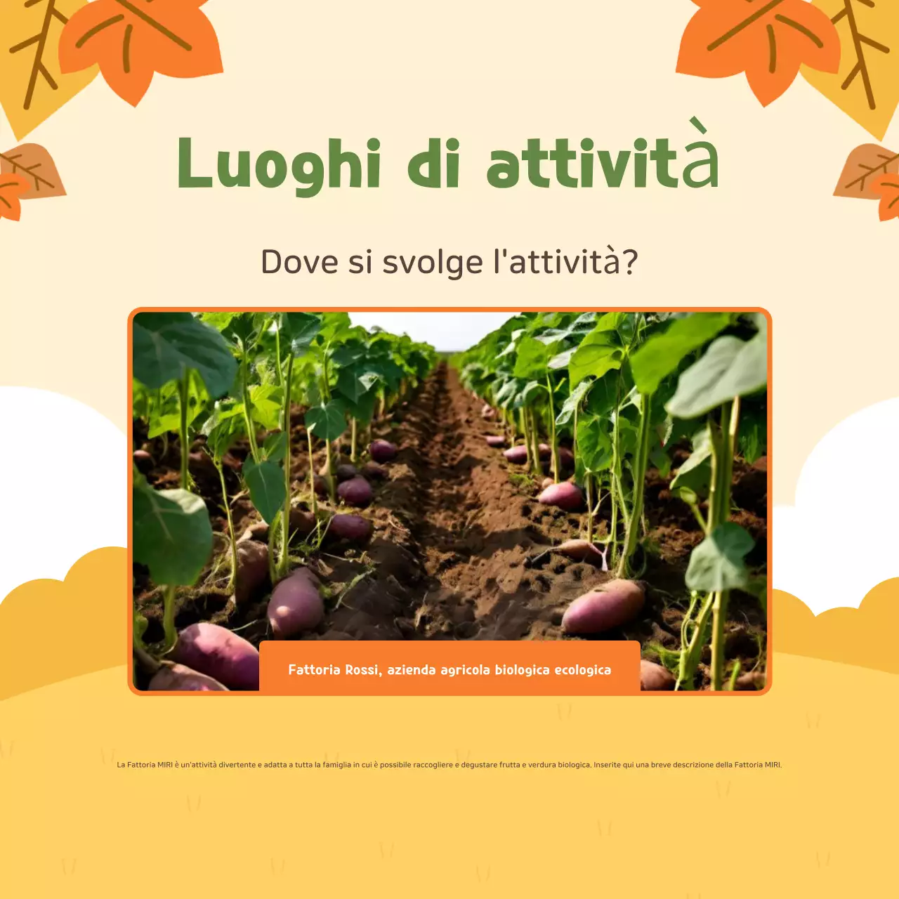 Esperienza di agricoltura beige