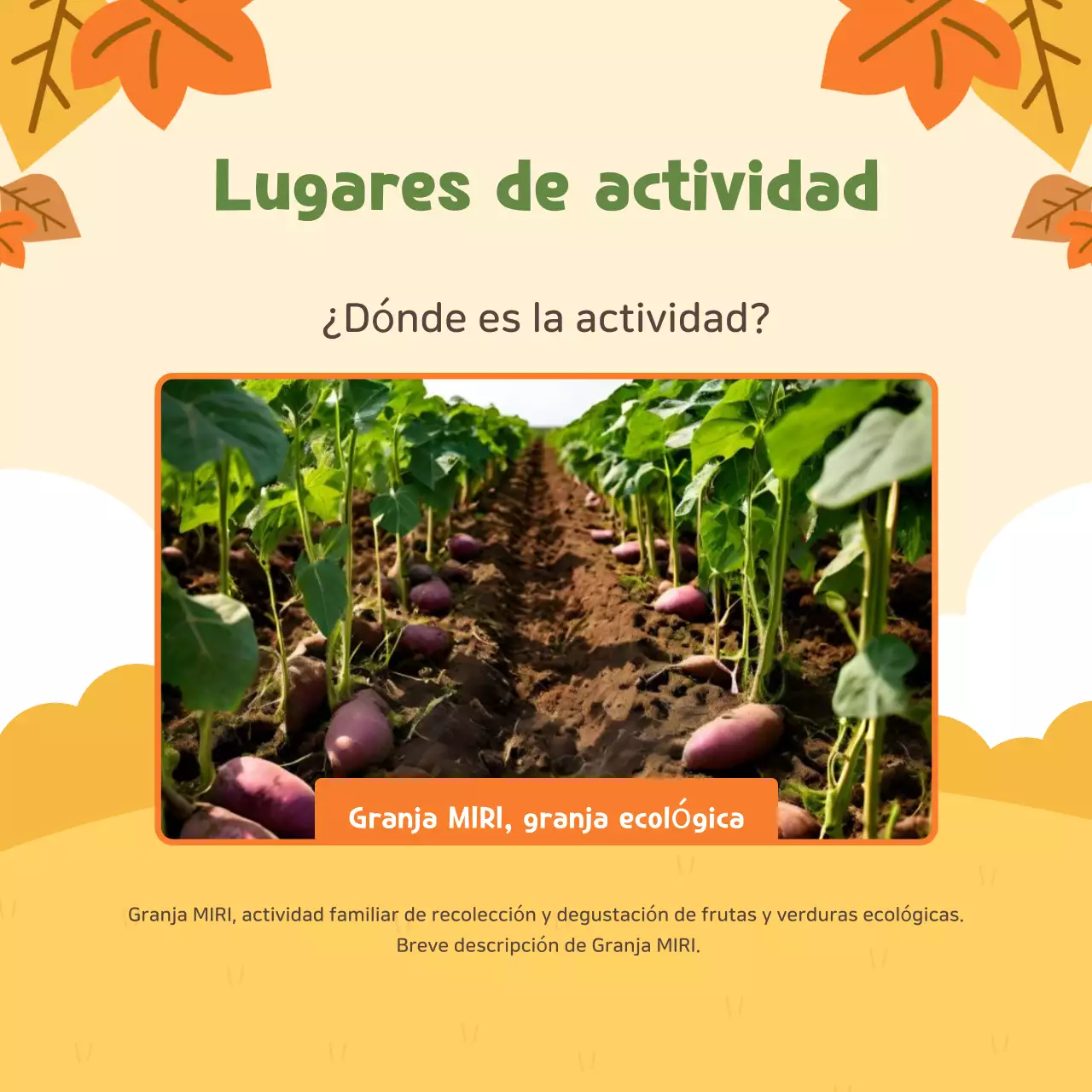 Beige Experiencia agrícola