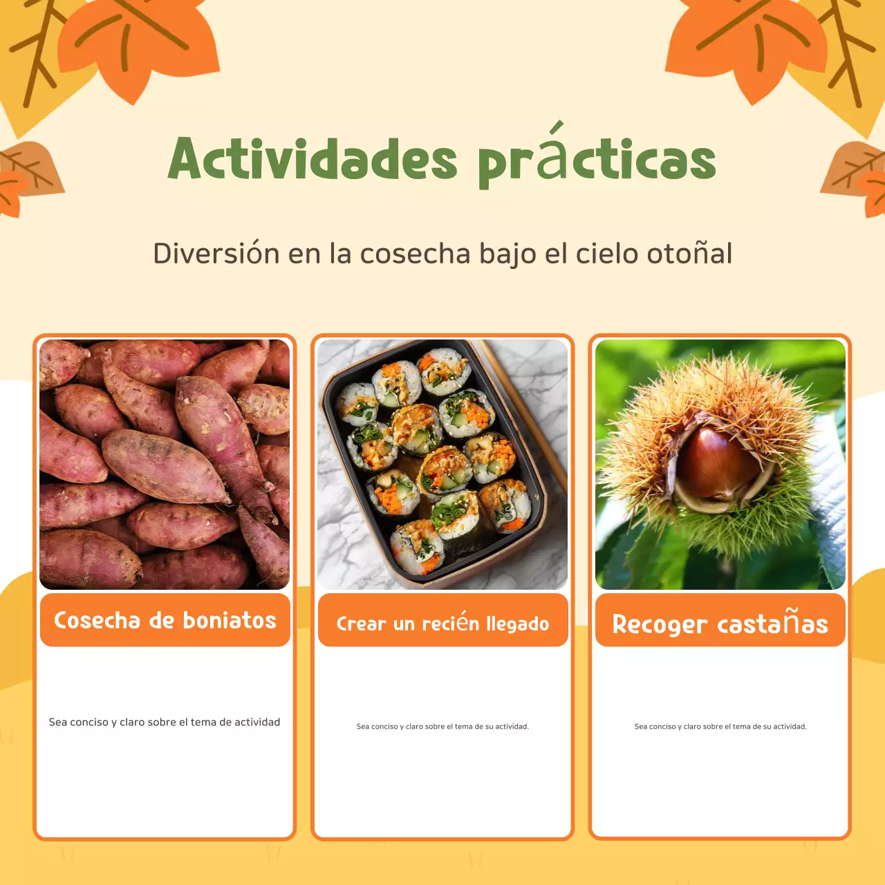 Beige Experiencia agrícola