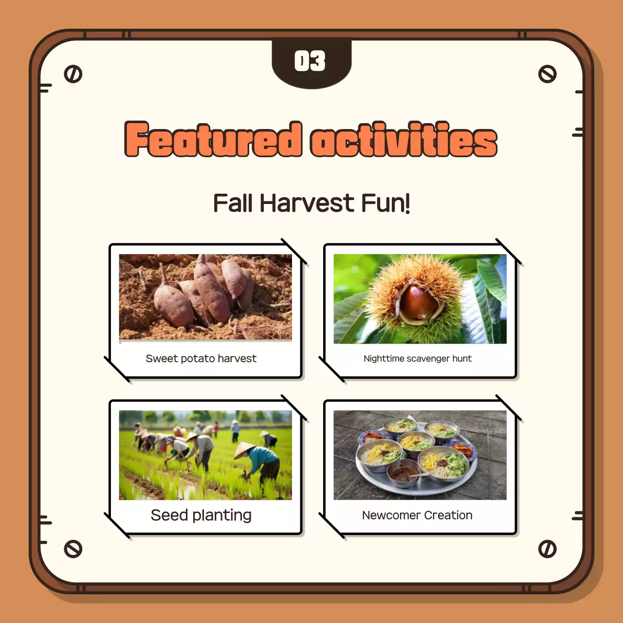 Promova a sua experiência de colheita de outono com um fundo castanho