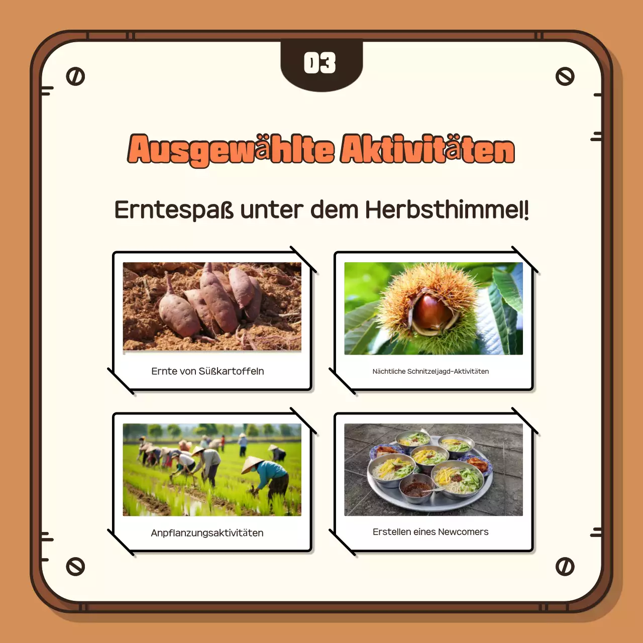 Werben Sie für Ihre herbstliche Ernteerfahrung mit einem braunen Hintergrund