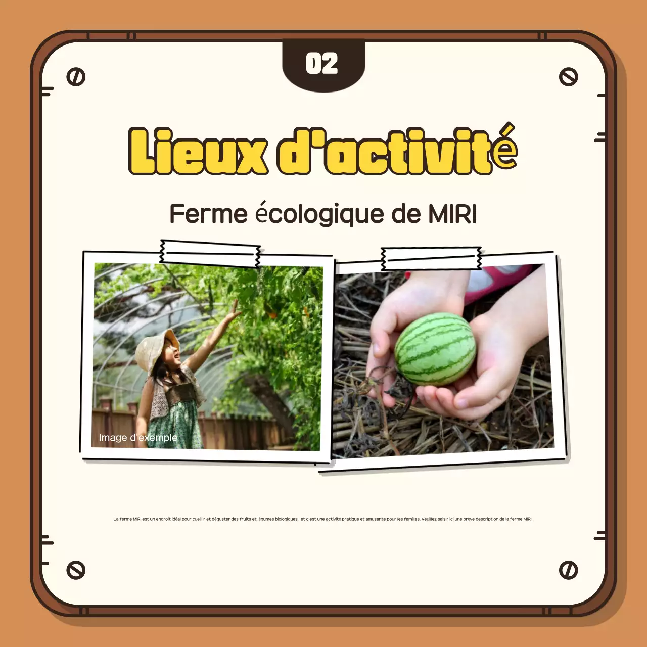 Faites la promotion de votre expérience de la récolte d'automne avec un arrière-plan brun