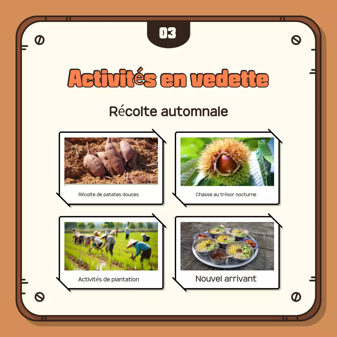 Faites la promotion de votre expérience de la récolte d'automne avec un arrière-plan brun