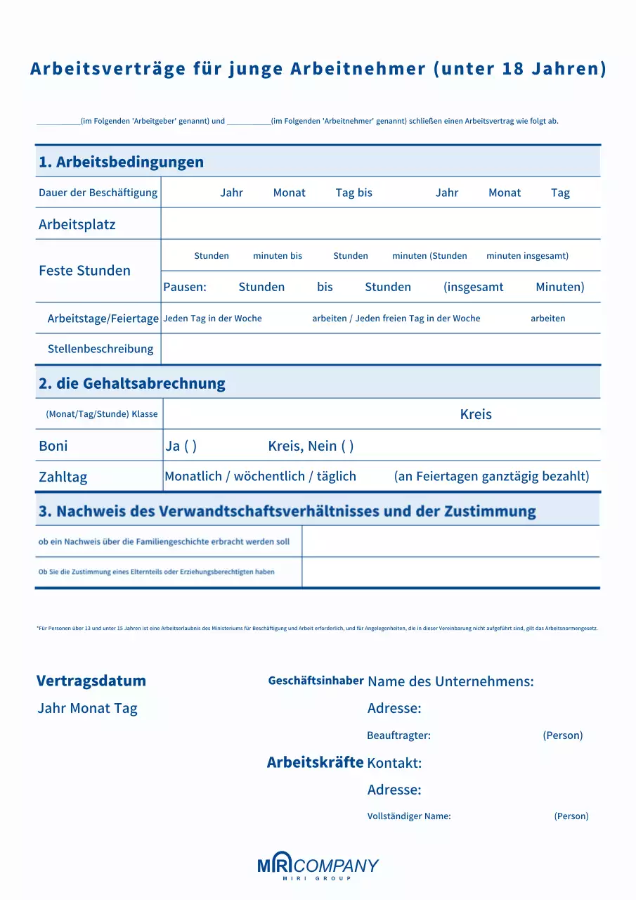 Blue Simple Employment Agreement Vertrag