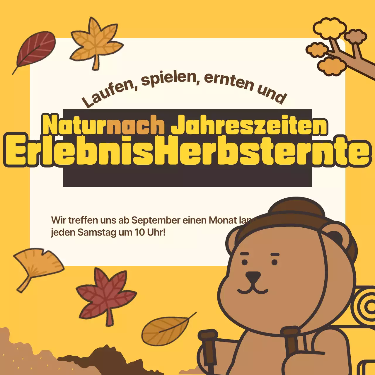 Förderung von braunen, warmen Herbsterlebnissen