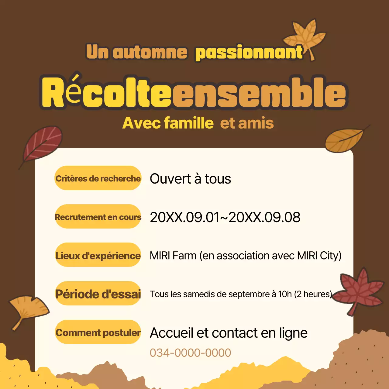 Promouvoir les expériences brunes et chaudes de l'automne