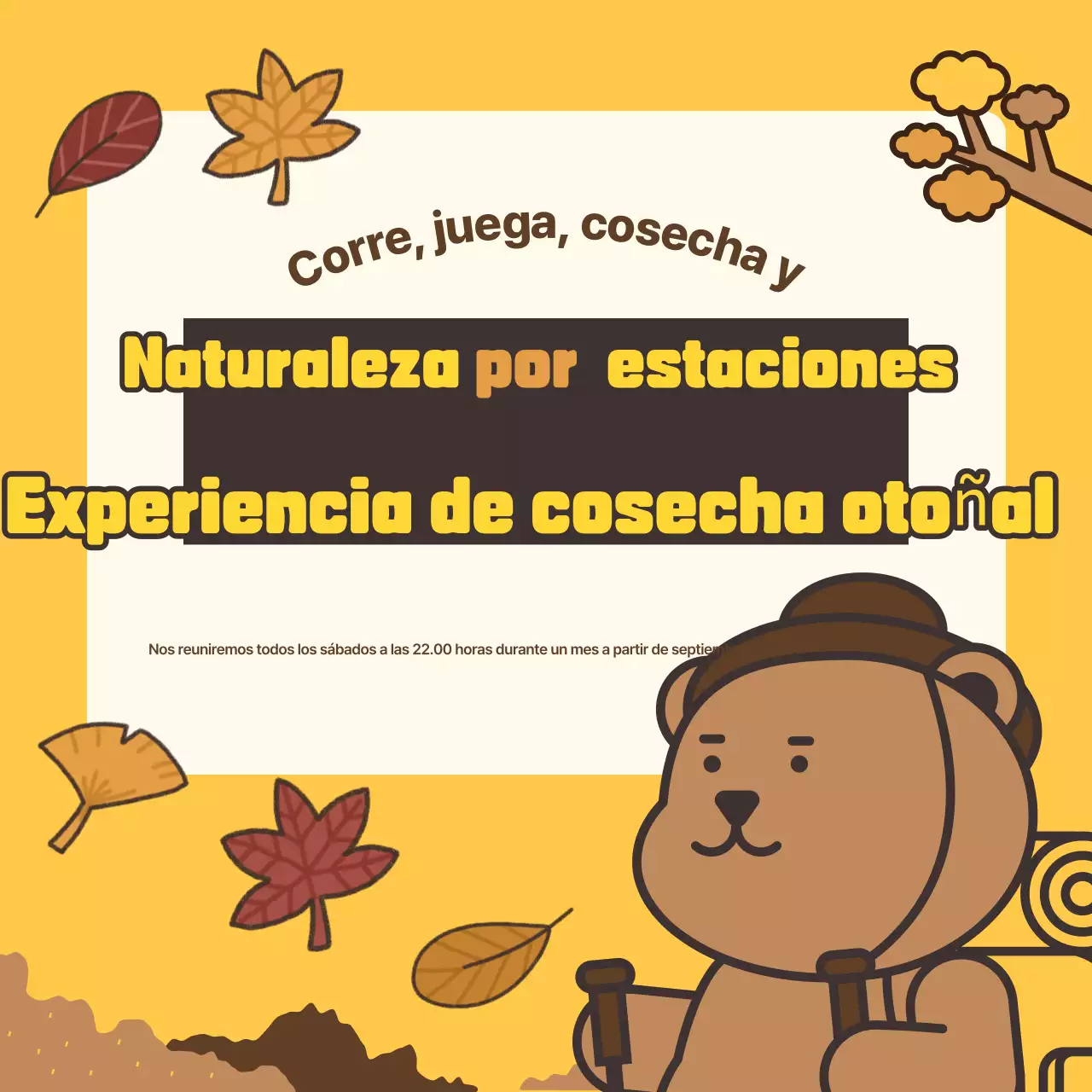 Promover experiencias otoñales marrones y cálidas