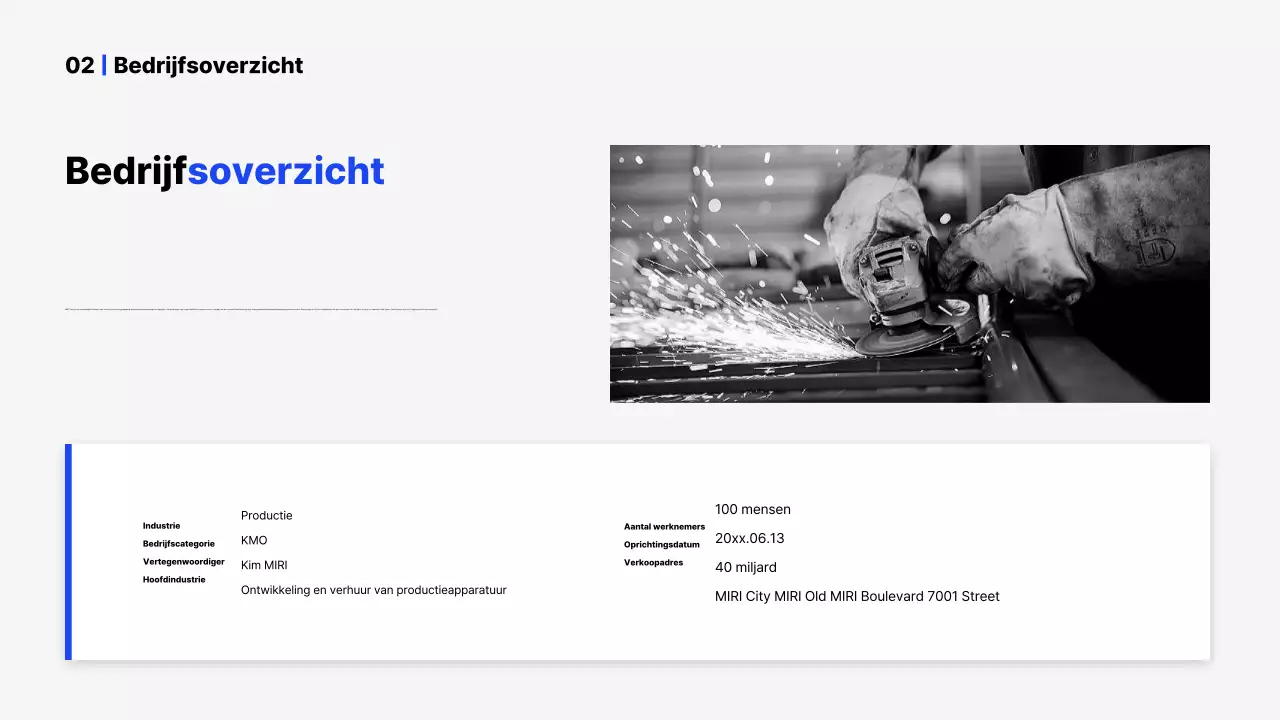 Introductie van het Blue Simple bedrijfsprofiel