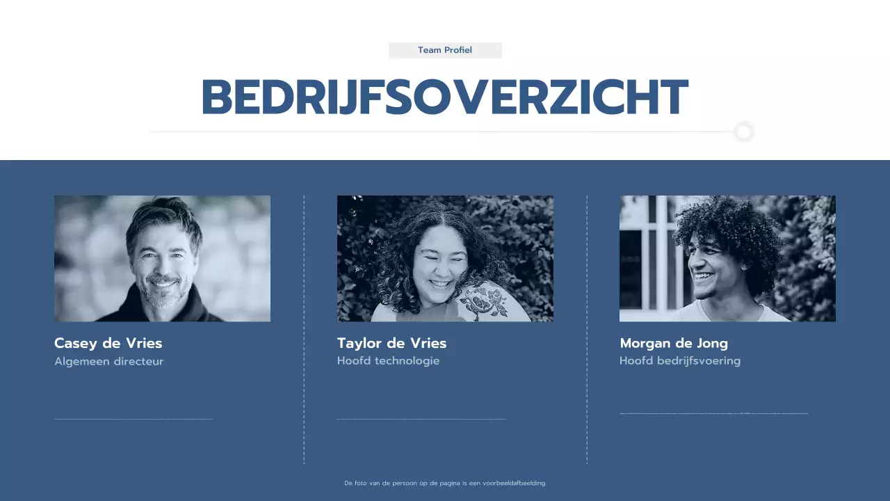 blauwe professionele business pitch