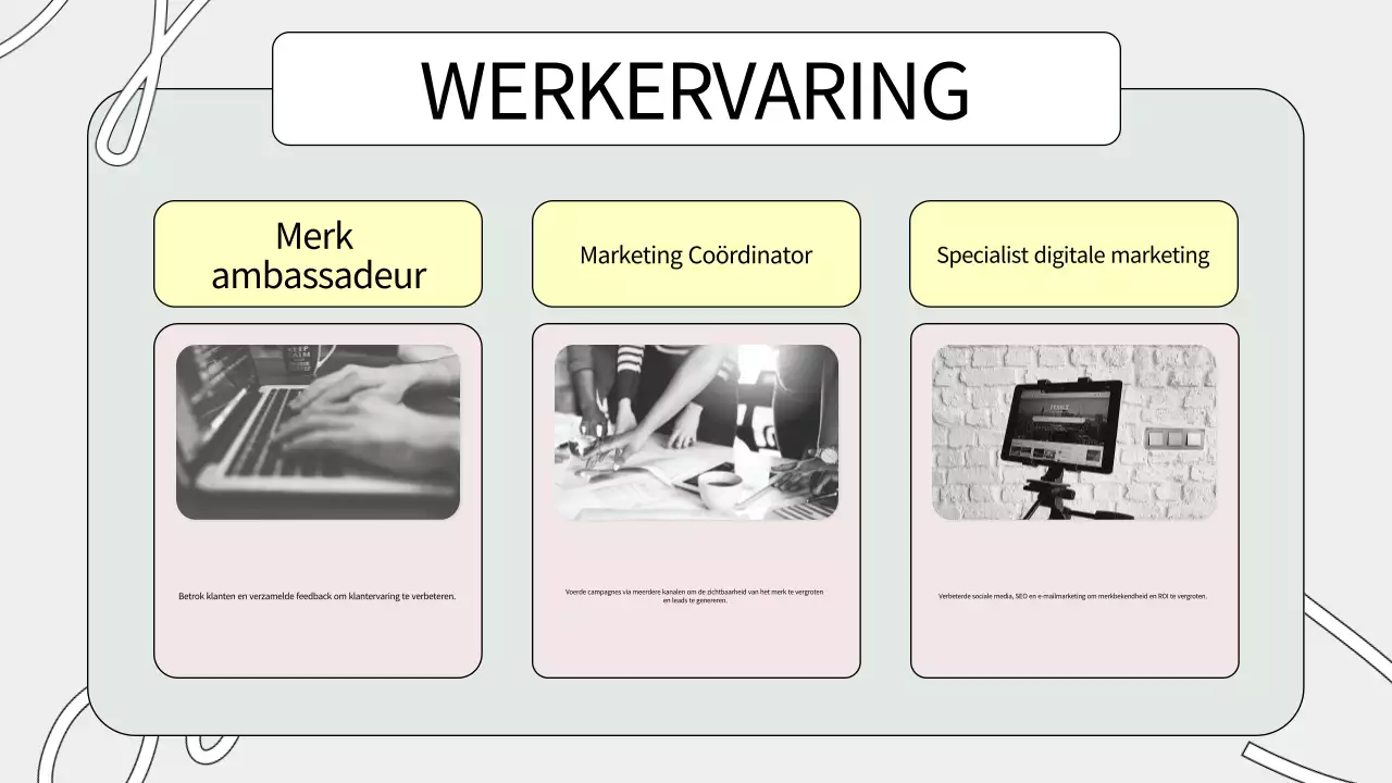 sage green creatief portfolio