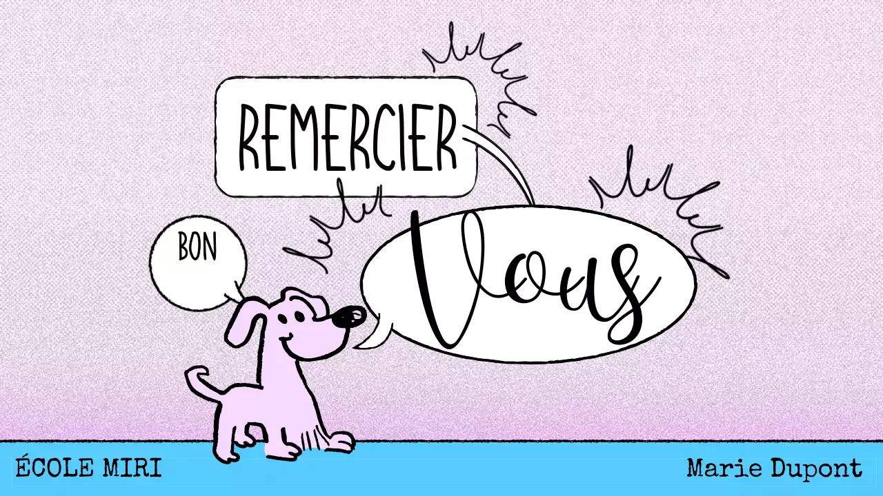 matériel de cours de grammaire en bande dessinée rose