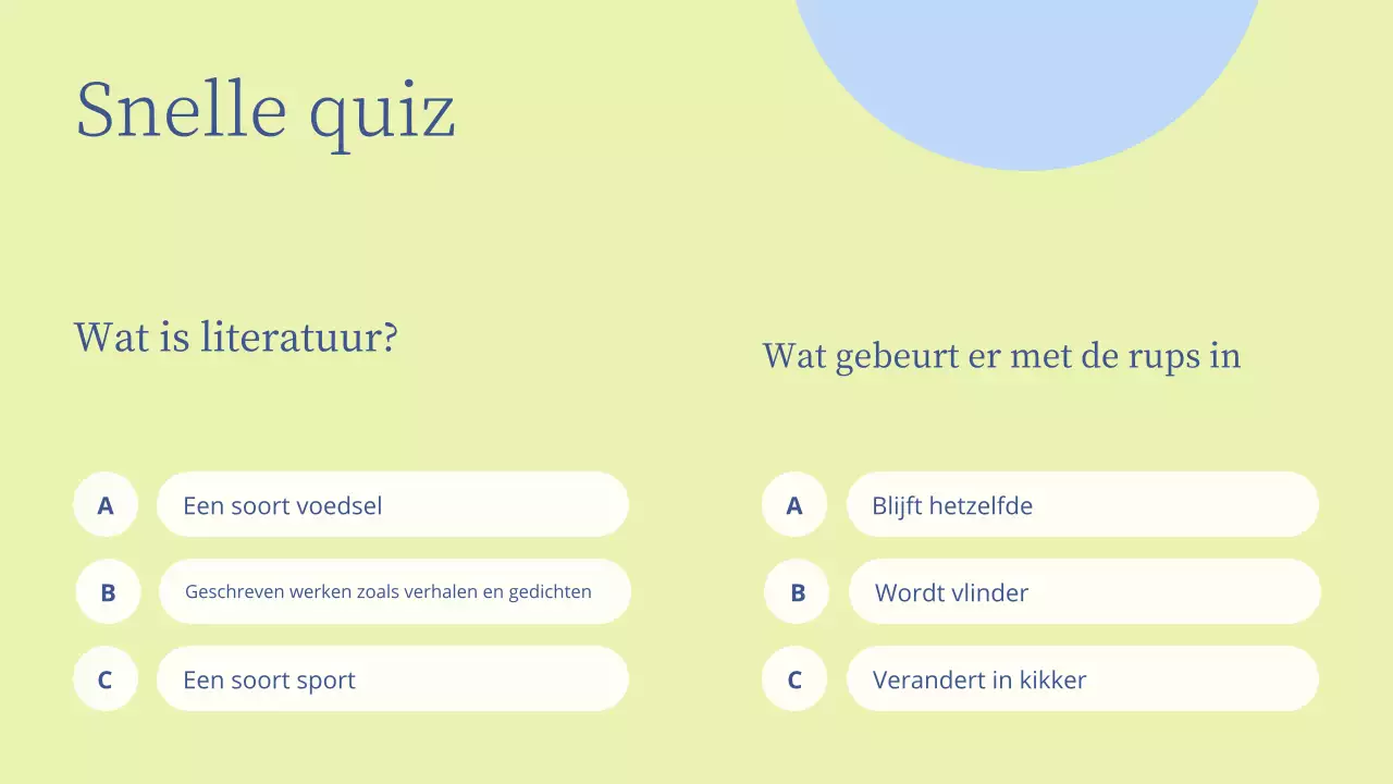 Minimale literatuurles presentatie