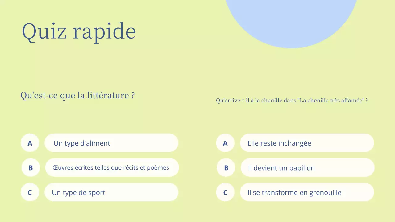 Présentation d'une leçon de littérature minimale