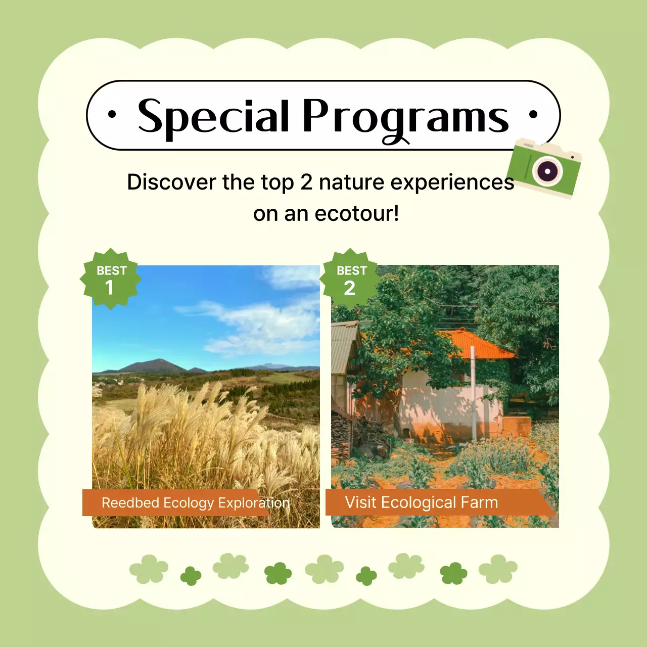 Promote Yandu's quaint eco-tours