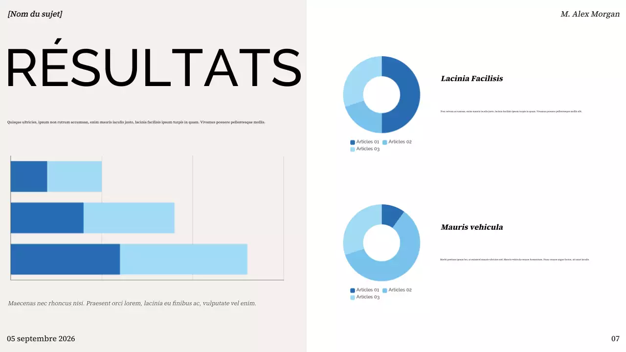 présentation moderne et colorée de l'aperçu d'un projet