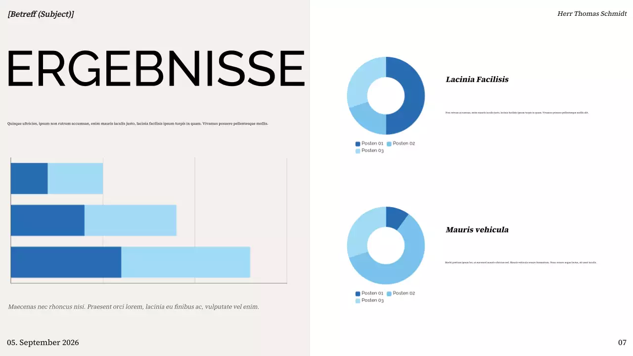farbenfrohe moderne Projektübersichtsdarstellung