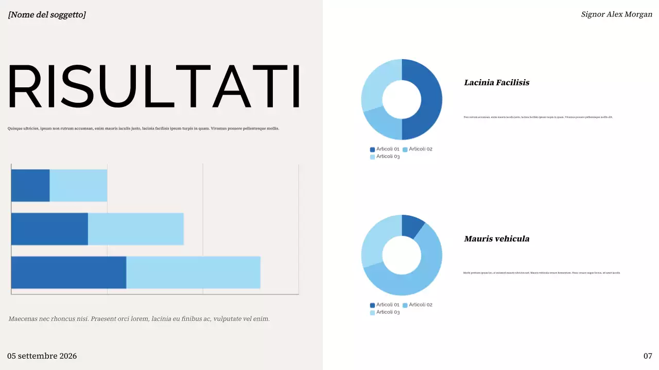 presentazione colorata e moderna del progetto
