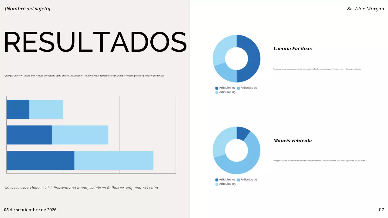 colorida y moderna presentación general del proyecto