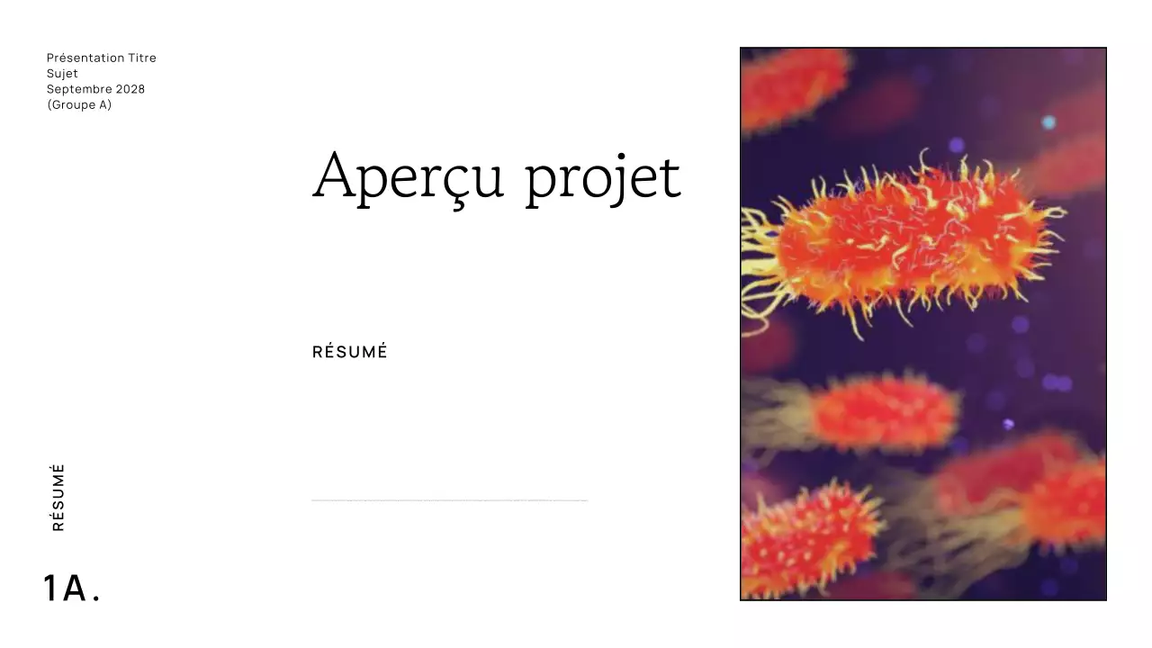 TRENDY MINIMAL CLEAN SIMPLE AESTHETIC SCIENCE GROUP PROYECT