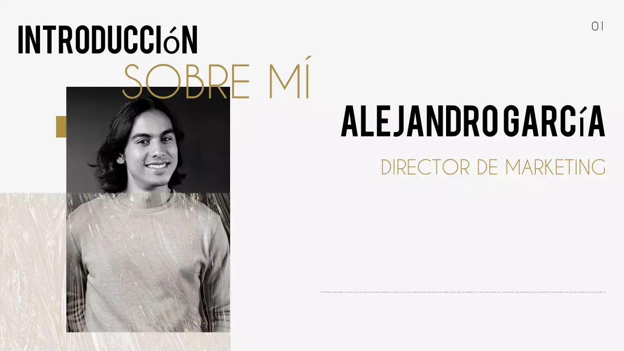 portafolio creativo negro curriculum vitae presentación