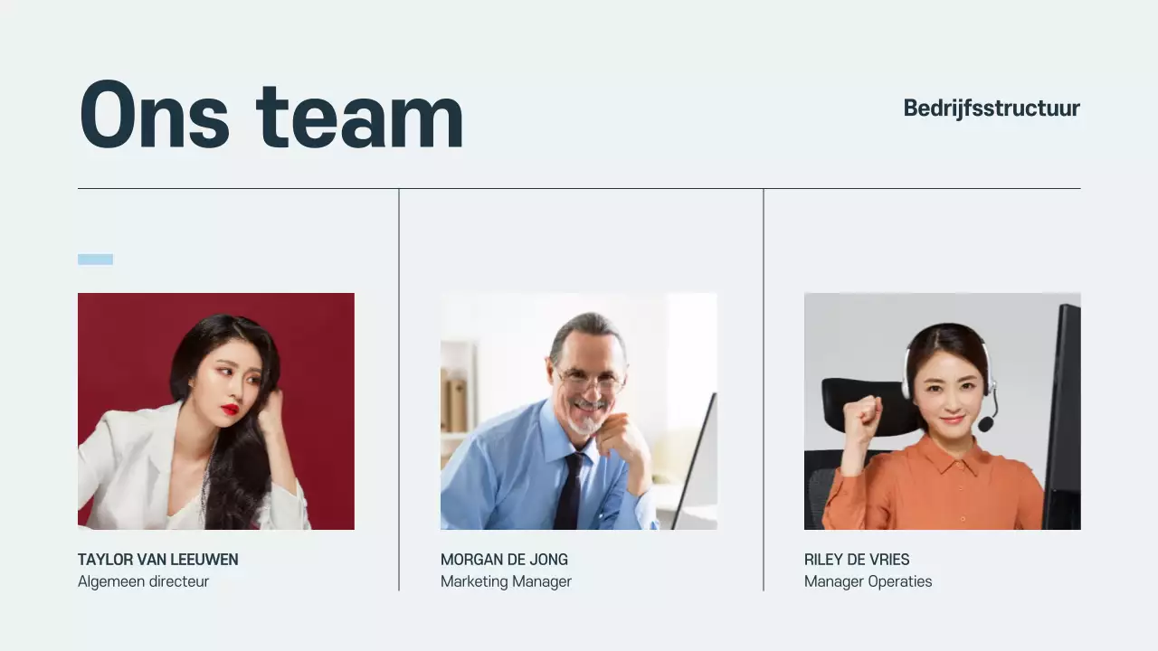 Grijze Professionele Presentatie Inwerken Werknemers