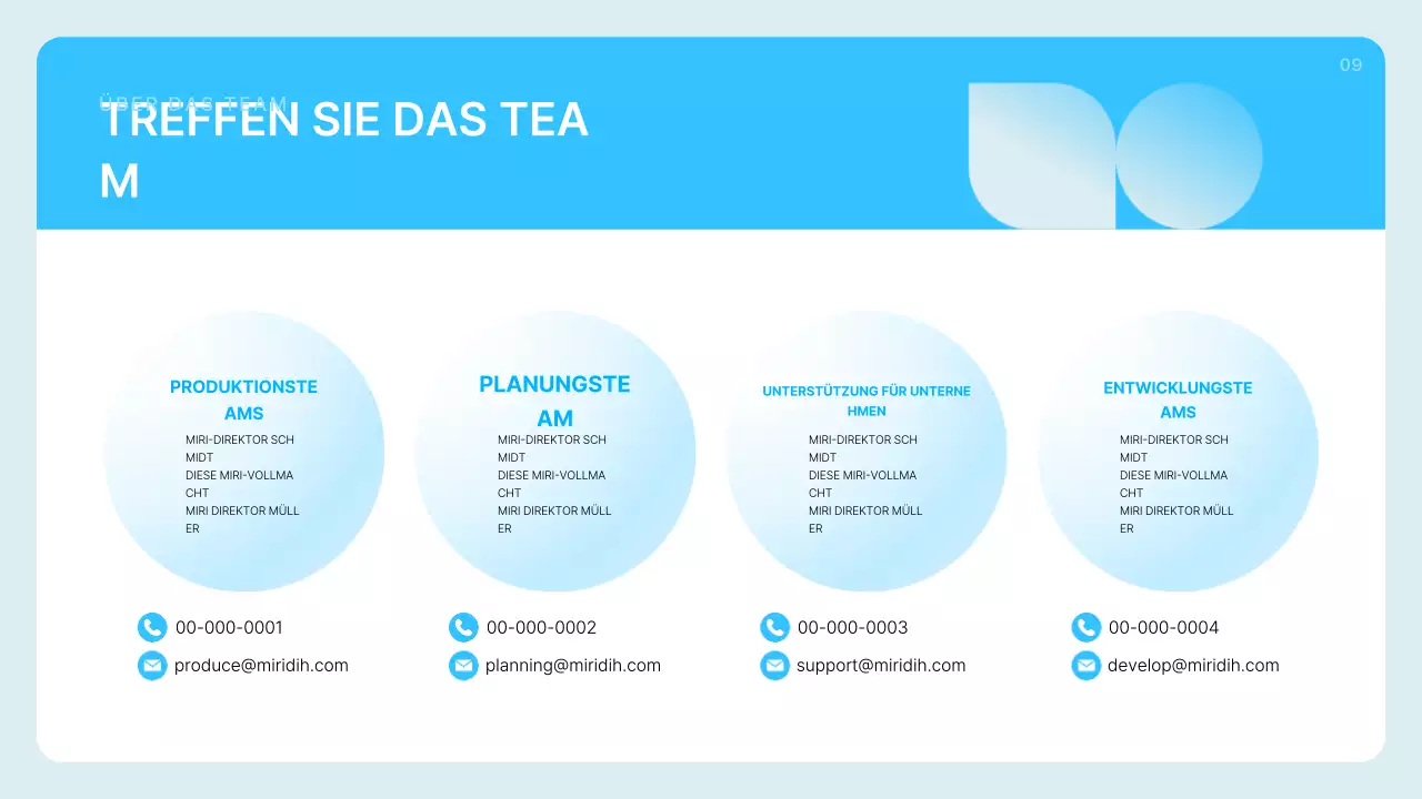 Hellblaue saubere Firmenprofilbeschreibung