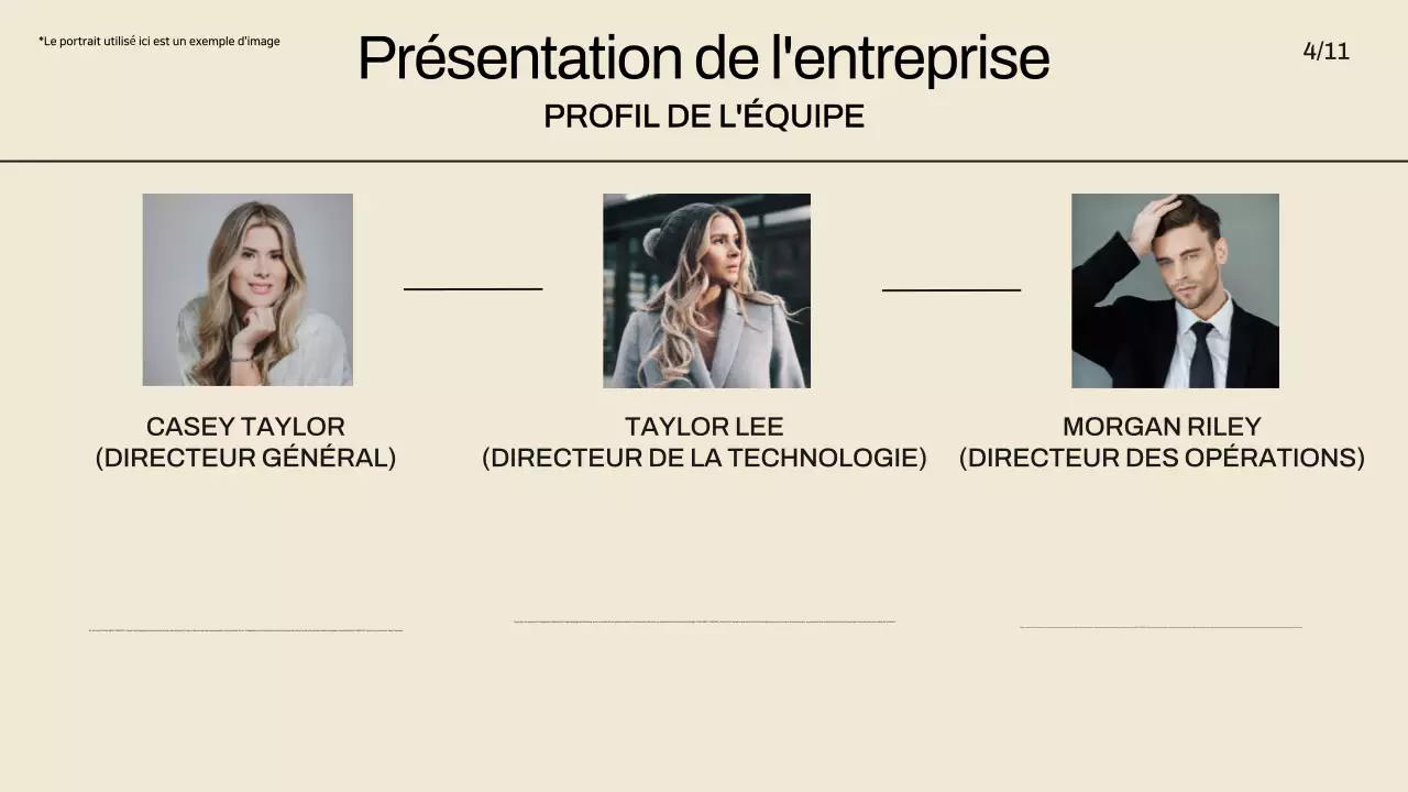 beige moderne pitch promotion