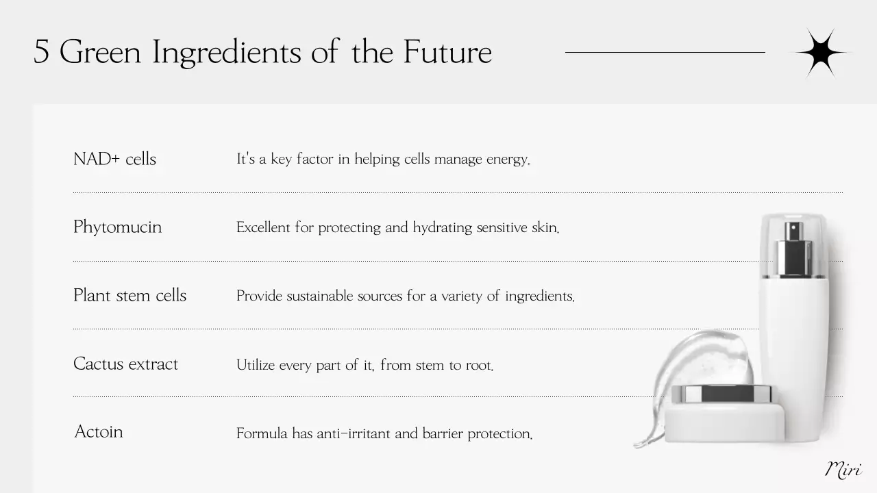 Relatório de beleza moderna cinzenta