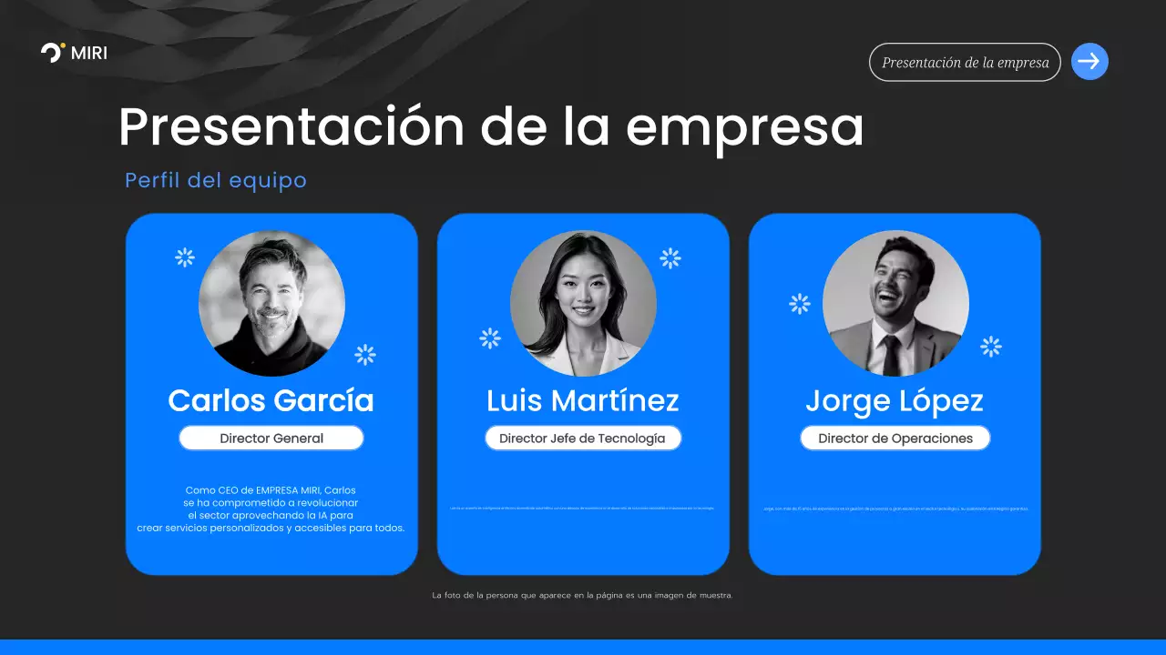 promoción del tono geométrico negro