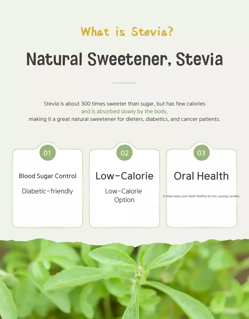 Khuyến mãi bán cà chua bi dễ thương của Ivory và Yeondu