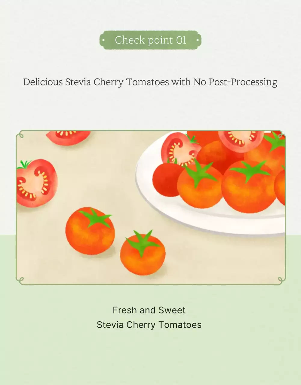 Promoção da venda de tomates-cereja simples em Marfim e Lótus