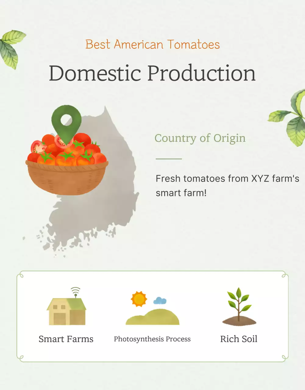 Promoção da venda de tomates-cereja simples em Marfim e Lótus