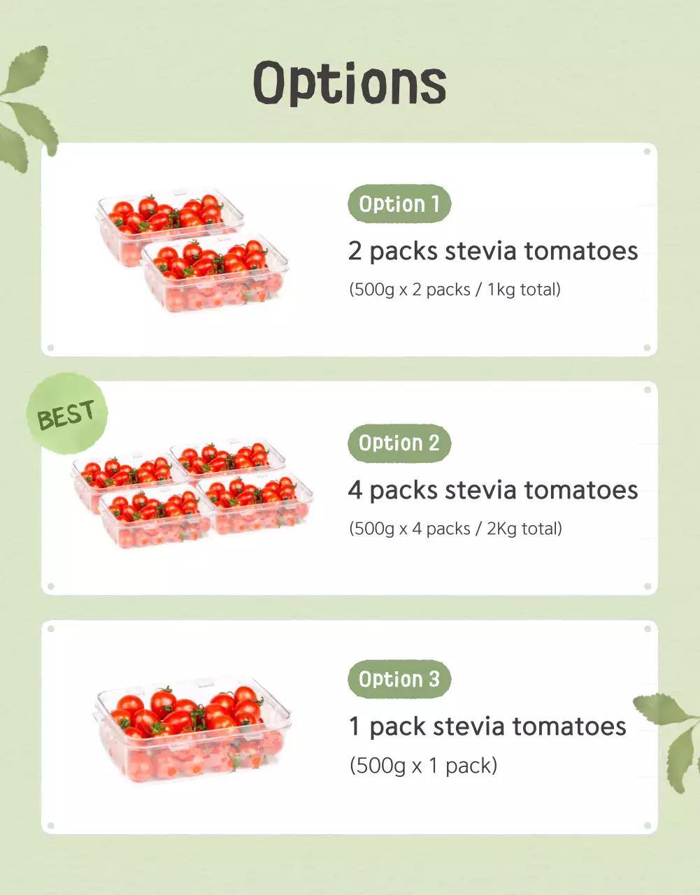 Khuyến mãi bán cà chua bi dễ thương của Ivory và Yeondu