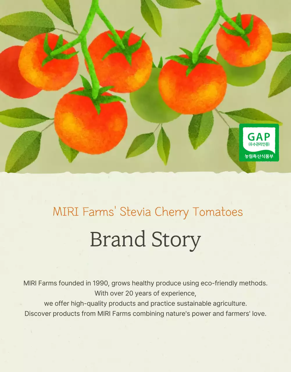 Promoção da venda de tomates-cereja simples em Marfim e Lótus