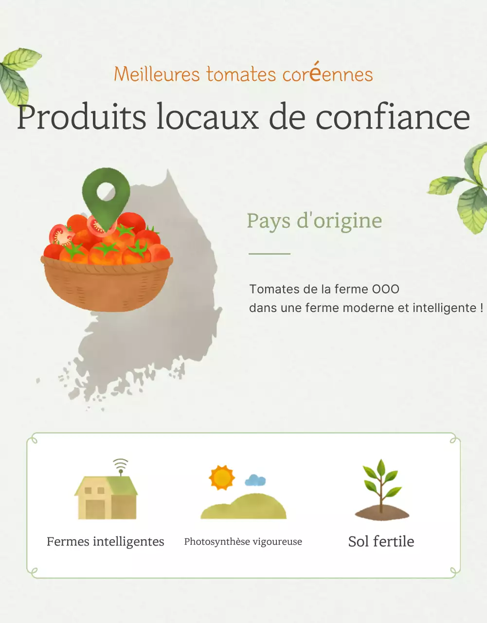 Promouvoir la vente de tomates cerises simples dans l'Ivoire et le Lotus