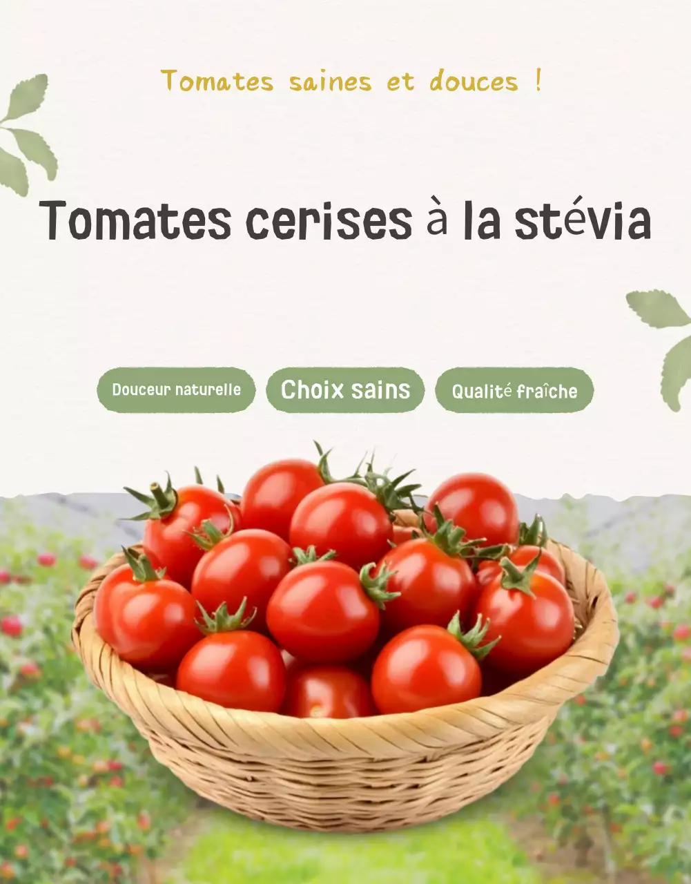 Promouvoir la vente des tomates cerises Ivory et Lotus beautiful