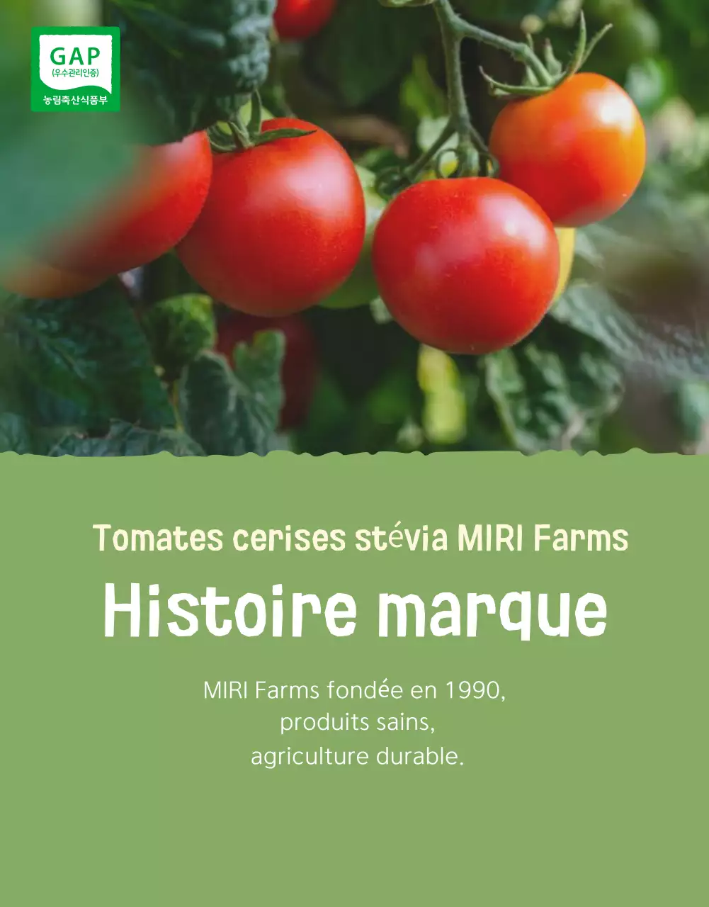 Promouvoir la vente des tomates cerises Ivory et Lotus beautiful