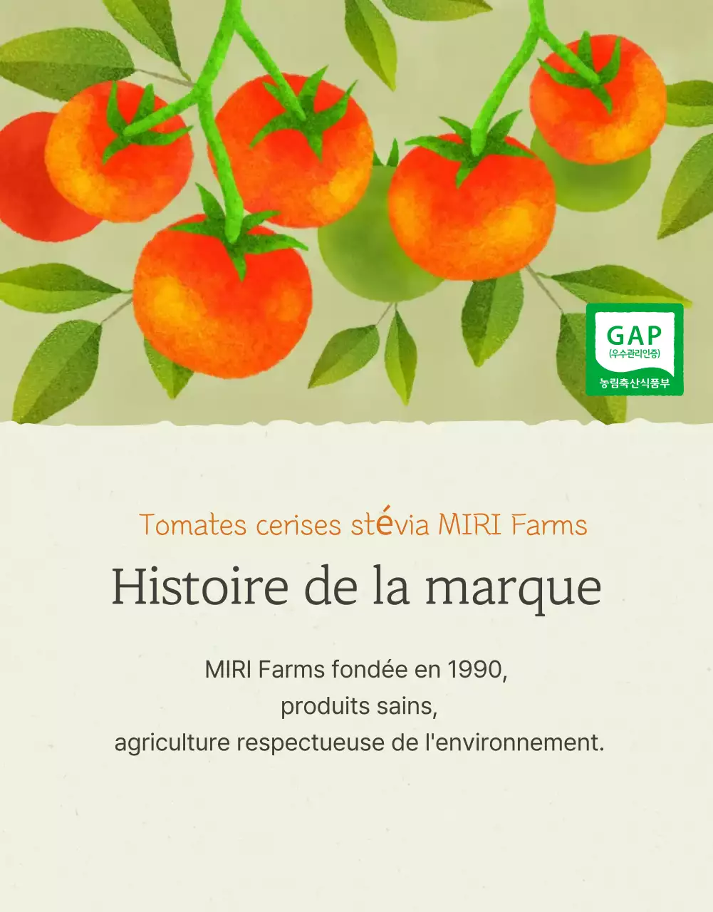 Promouvoir la vente de tomates cerises simples dans l'Ivoire et le Lotus