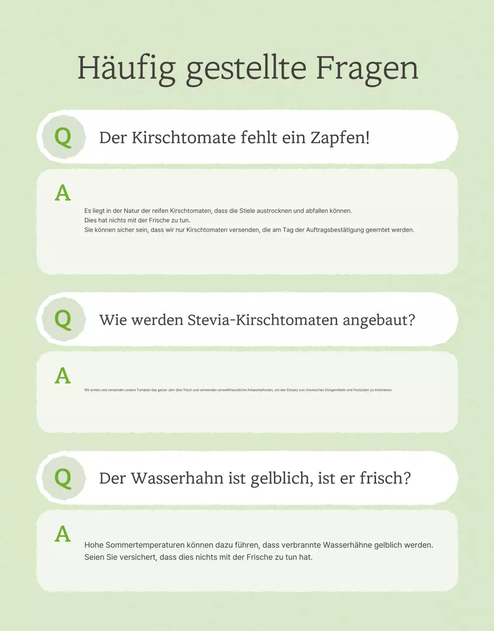 Förderung des Verkaufs von einfachen Kirschtomaten in Elfenbein und Lotus